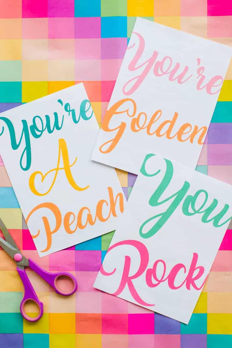 Free Printable Thank You Cards Funny