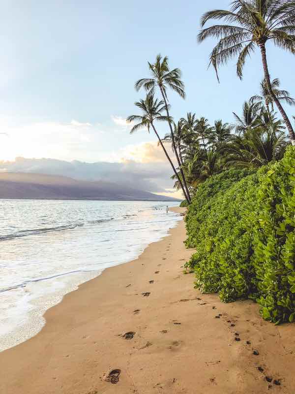 Best Whale Watching Spots in Maui